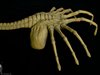 Alien Facehugger