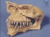 Gremlin Skull