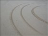 Tracks in the sand